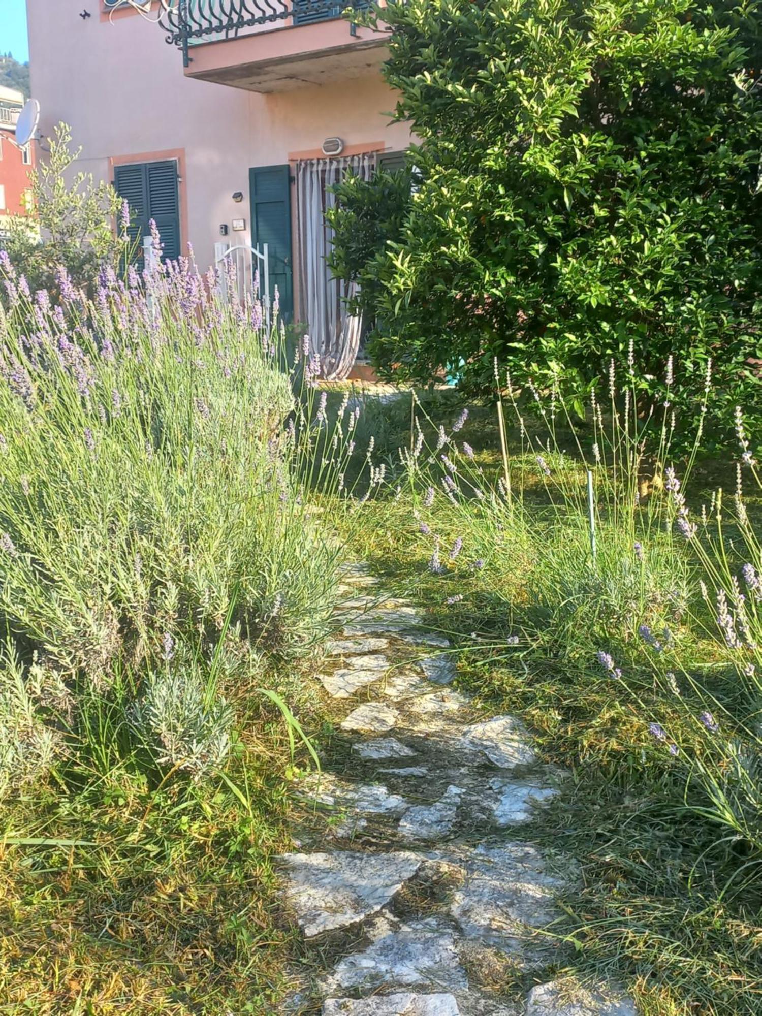 La Casa Di Ulivi Villa Piano di Follo Buitenkant foto