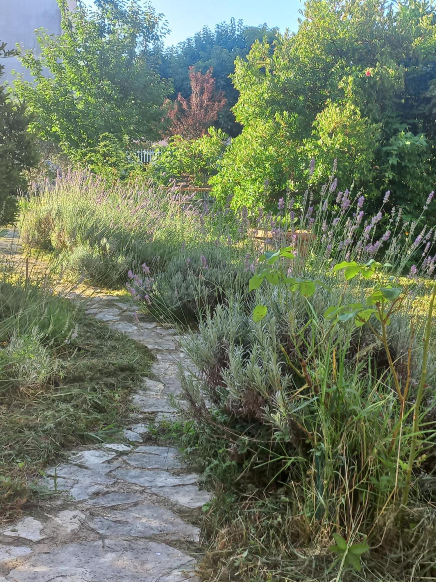 La Casa Di Ulivi Villa Piano di Follo Buitenkant foto